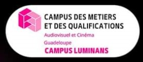 logo campus LUMINANS